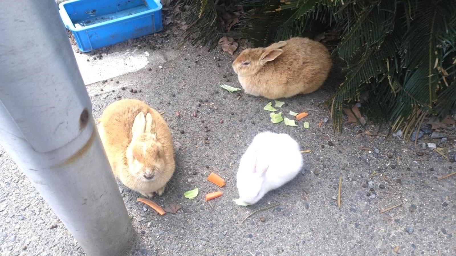 베셀 인 히로시마 에키마에 외부 사진